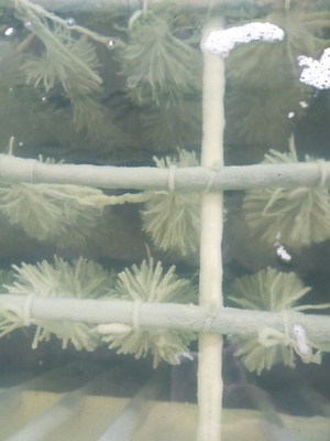 温州化工清洗废水处理设备生产厂家批发