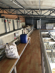 化工废水处理-化学酸洗废水处理-温州环保设备生产厂家